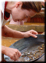 Gold Panning
