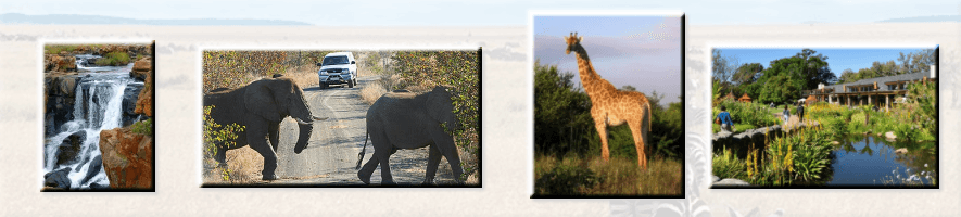 Things to See in Mpumalanga